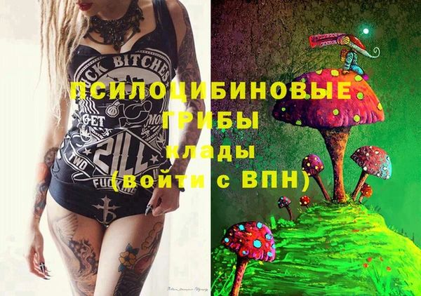 ПСИЛОЦИБИНОВЫЕ ГРИБЫ Новокубанск