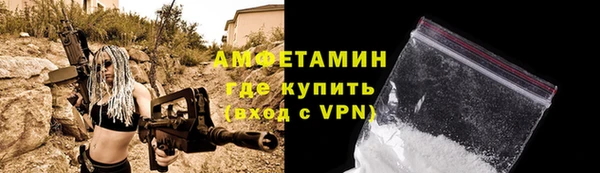 крисы Новозыбков