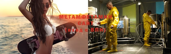 крисы Новозыбков