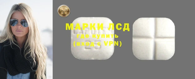 крисы Новозыбков