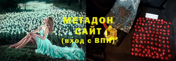 крисы Новозыбков