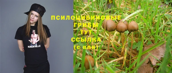 ПСИЛОЦИБИНОВЫЕ ГРИБЫ Новокубанск