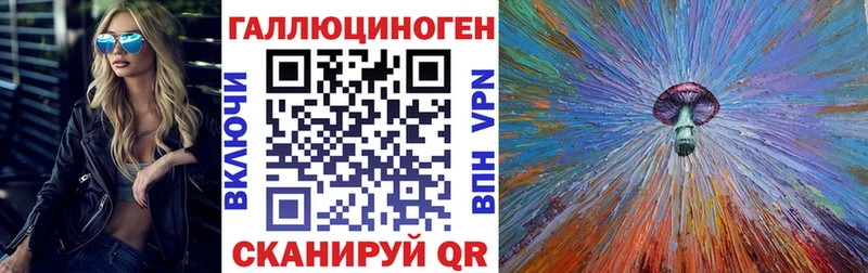 OMG зеркало  цены   Почеп  Галлюциногенные грибы GOLDEN TEACHER 
